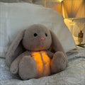 Calming Breathing Bunny Plush Toy